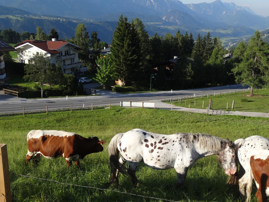 Haus Alpina Ski In & Ski Out Schladming Esterno foto