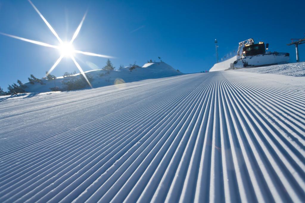 Haus Alpina Ski In & Ski Out Schladming Esterno foto