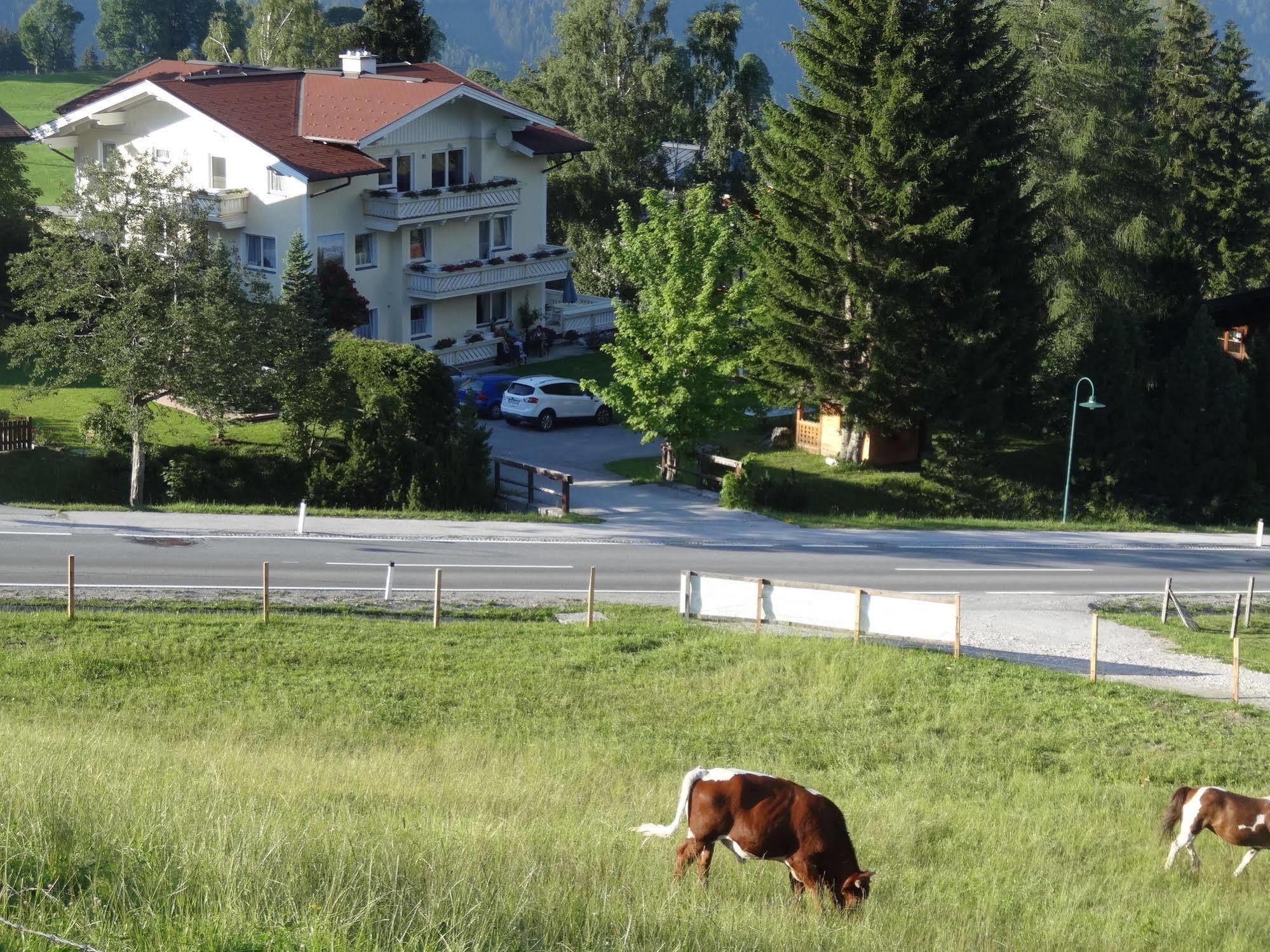 Haus Alpina Ski In & Ski Out Schladming Esterno foto